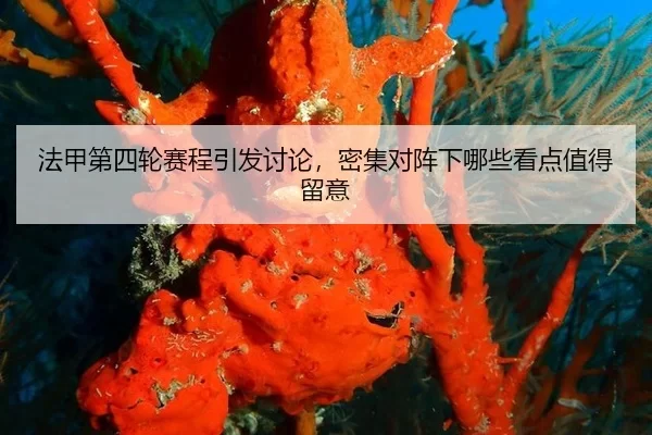 fa-jia-di-si-lun-sai-cheng-yin-fa-tao-lun-mi-ji-dui-zhen-xia-na-xie-kan-dian-zhi-de-liu-yi-2-697.jpg